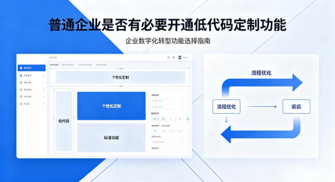 低代码定制功能，普通企业是否有必要开···